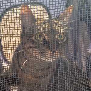 Meet your Posher, Terra